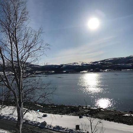 Trivelig Fritidshus Pa Arnes, Senja Straumstad المظهر الخارجي الصورة