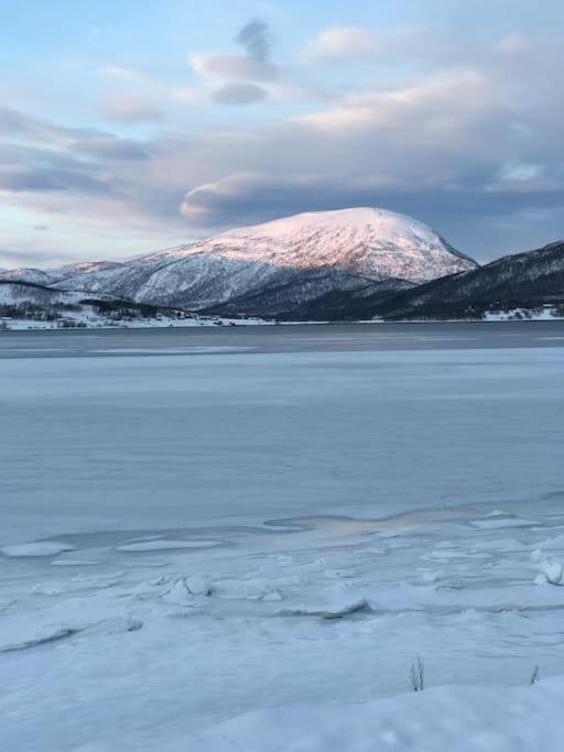Trivelig Fritidshus Pa Arnes, Senja Straumstad المظهر الخارجي الصورة