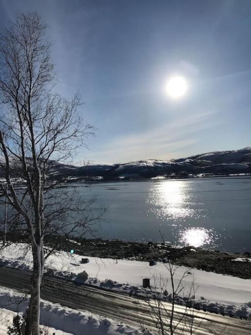 Trivelig Fritidshus Pa Arnes, Senja Straumstad المظهر الخارجي الصورة