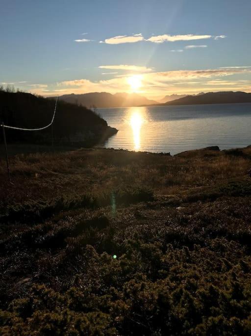 Trivelig Fritidshus Pa Arnes, Senja Straumstad المظهر الخارجي الصورة