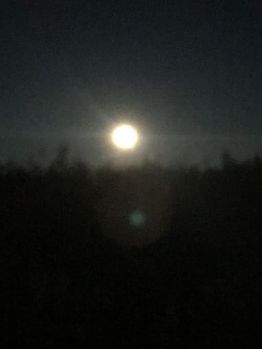 Trivelig Fritidshus Pa Arnes, Senja Straumstad المظهر الخارجي الصورة