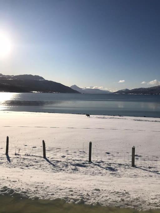 Trivelig Fritidshus Pa Arnes, Senja Straumstad المظهر الخارجي الصورة