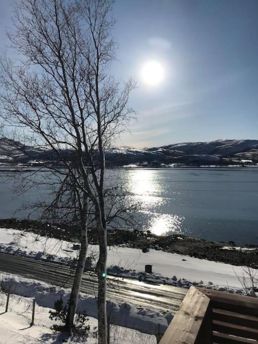 Trivelig Fritidshus Pa Arnes, Senja Straumstad المظهر الخارجي الصورة